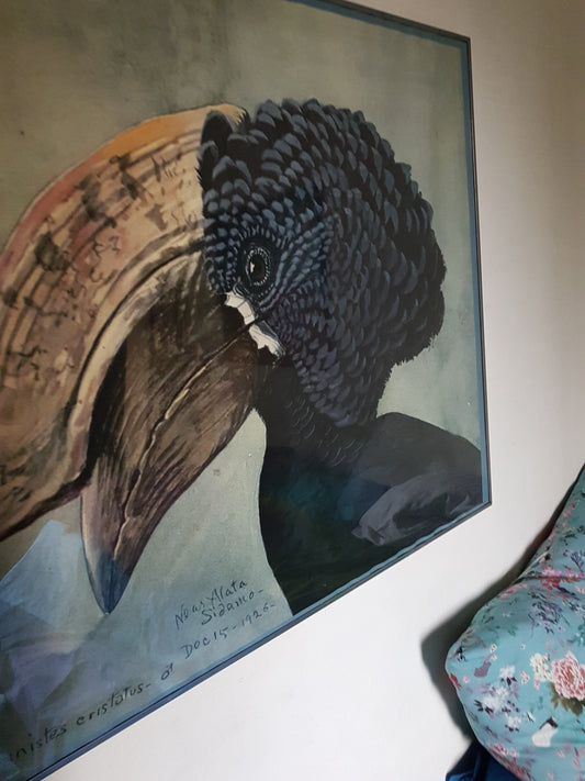 Curator's Pick: The Crested Hornbill Poster by Fuertes from FrenchVintagePrints.com