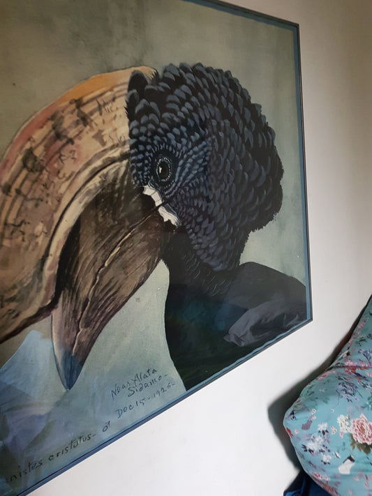 Curator's Pick: The Captivating Crested Hornbill Poster by Fuertes from FrenchVintagePrints.com