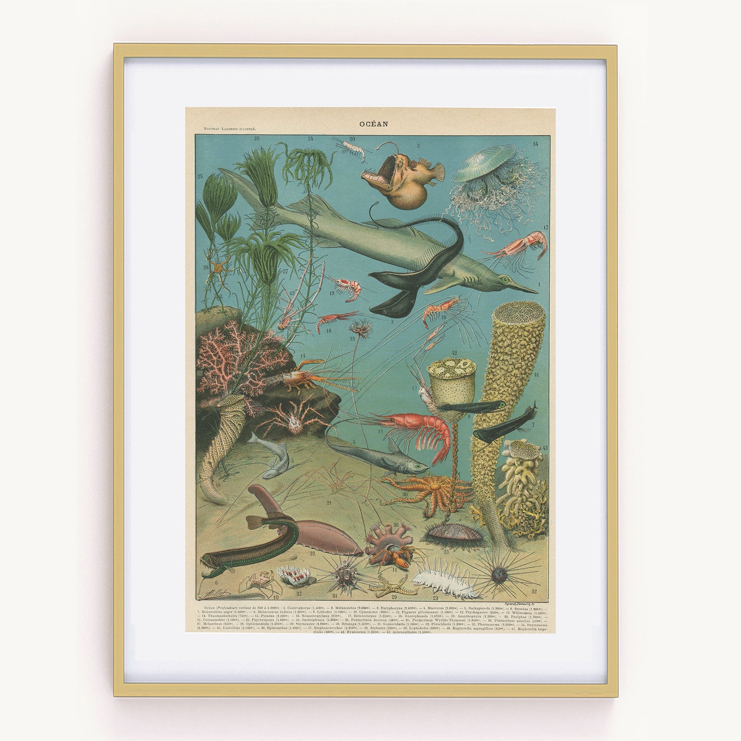 1897 Illustration d'océanographie des profondeurs.
