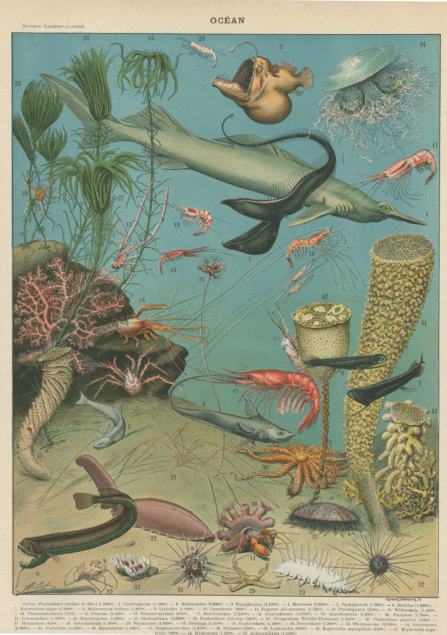 1897 Illustration d'océanographie des profondeurs.