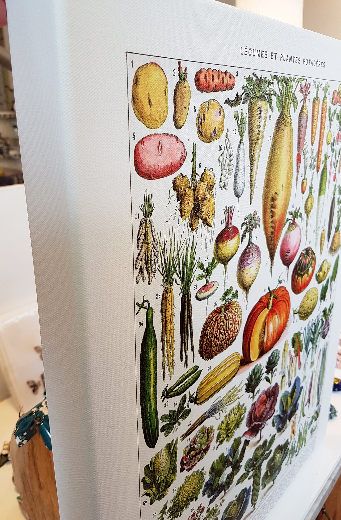 Vegetables Chart Stretched Canvas