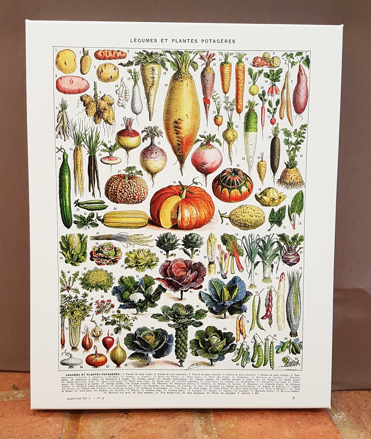 Vegetables Chart Stretched Canvas