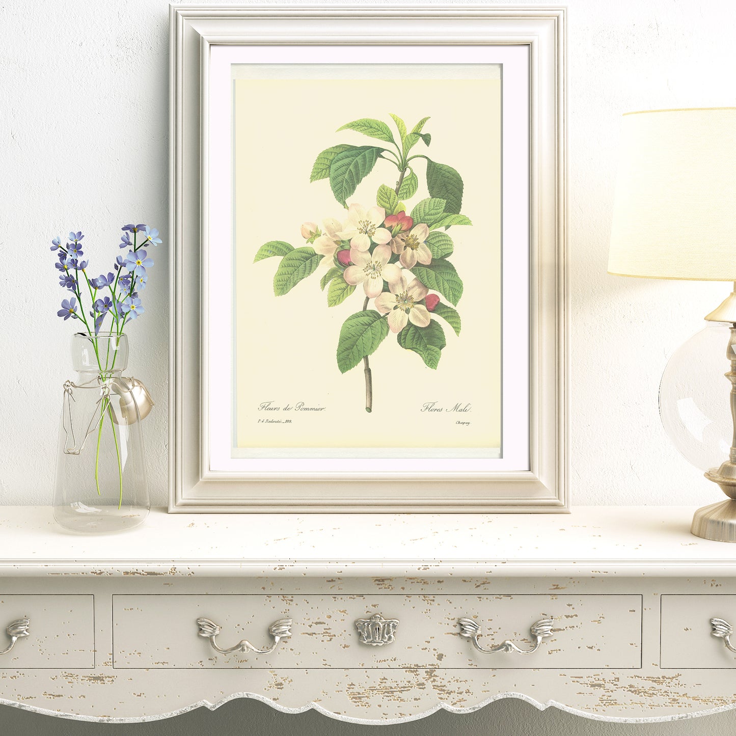 1986 Illustration botanique de Fleurs de Pommier par Redouté