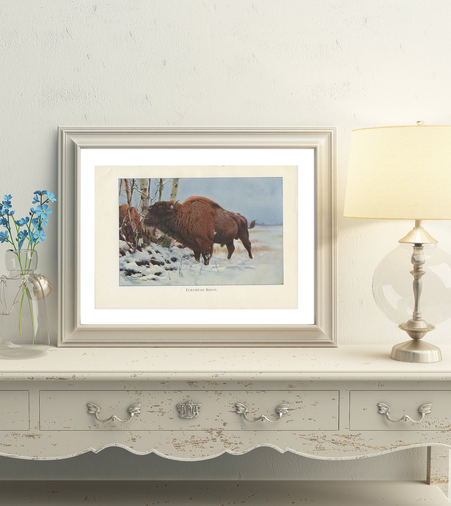1916 Bison print