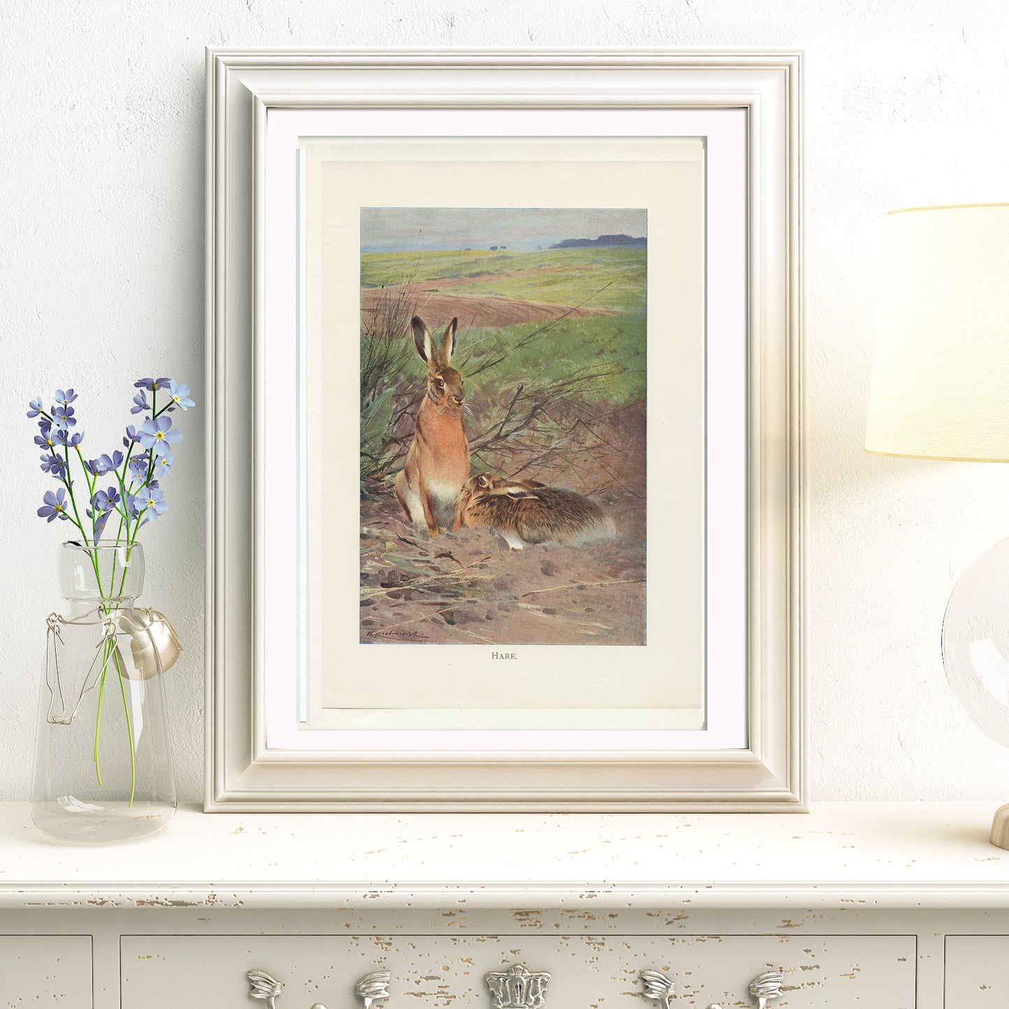 1916 Hare Print - Lydekker