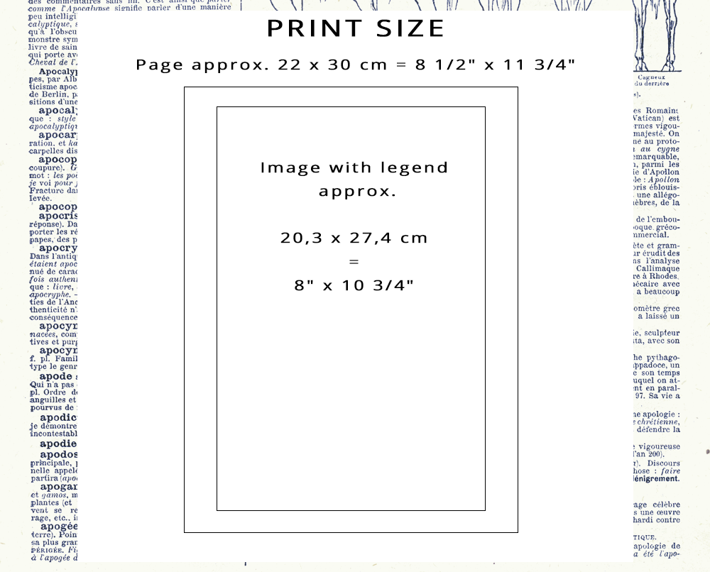 1897 Illustration de reliure