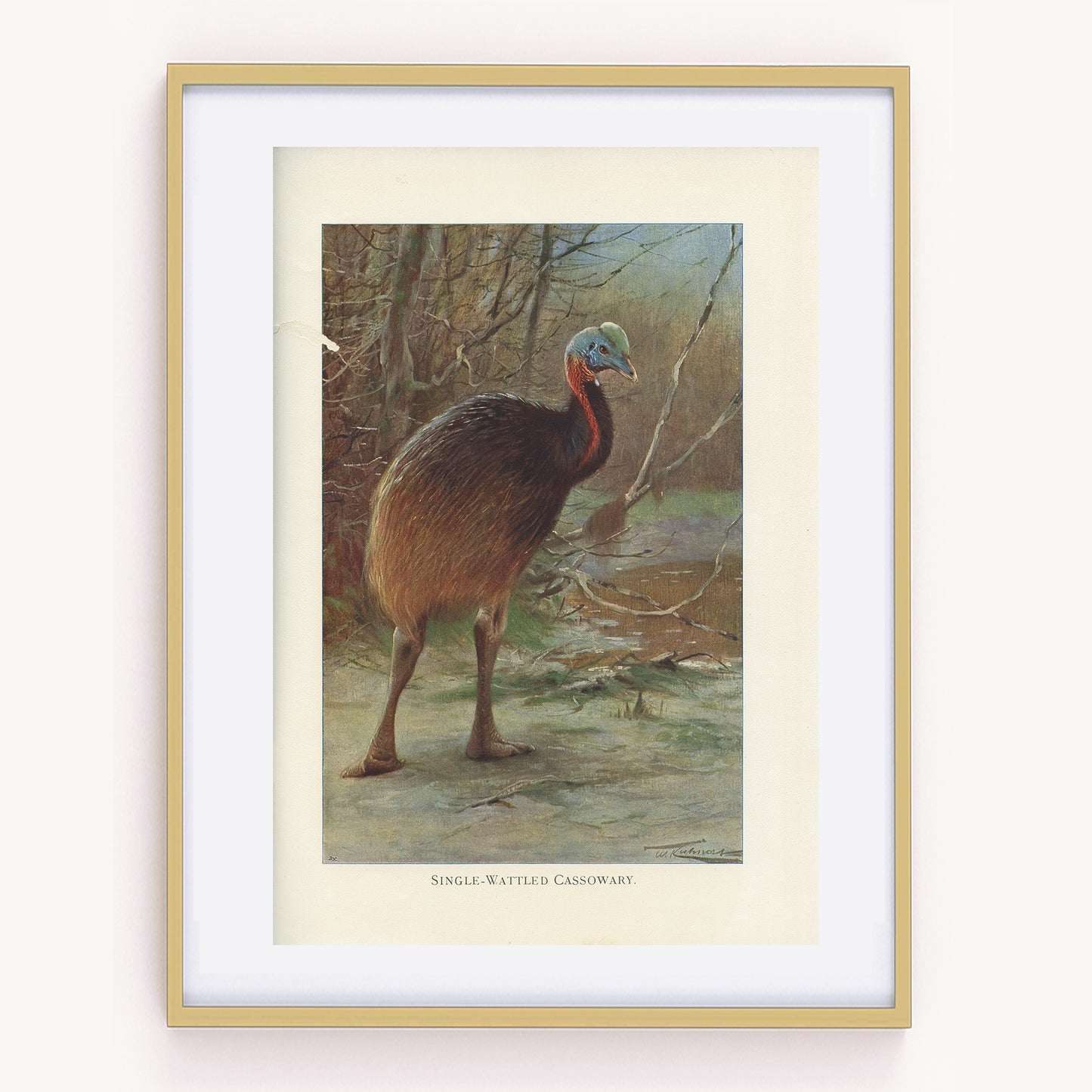1916 Illustration de Casoar