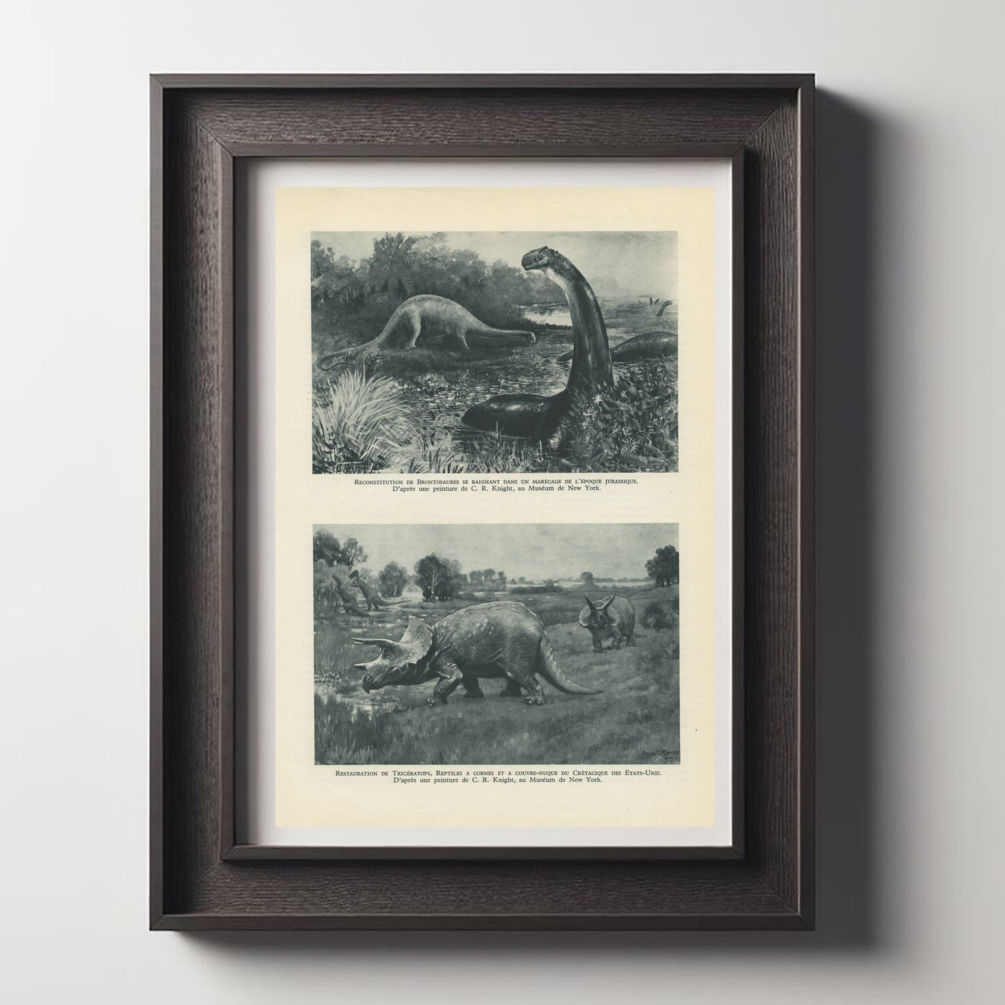 1949 Illustration de Dinosaures