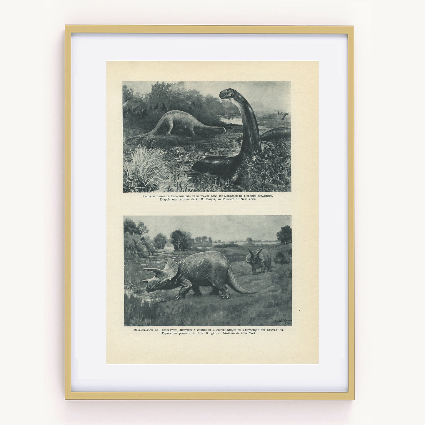 1949 Illustration de Dinosaures