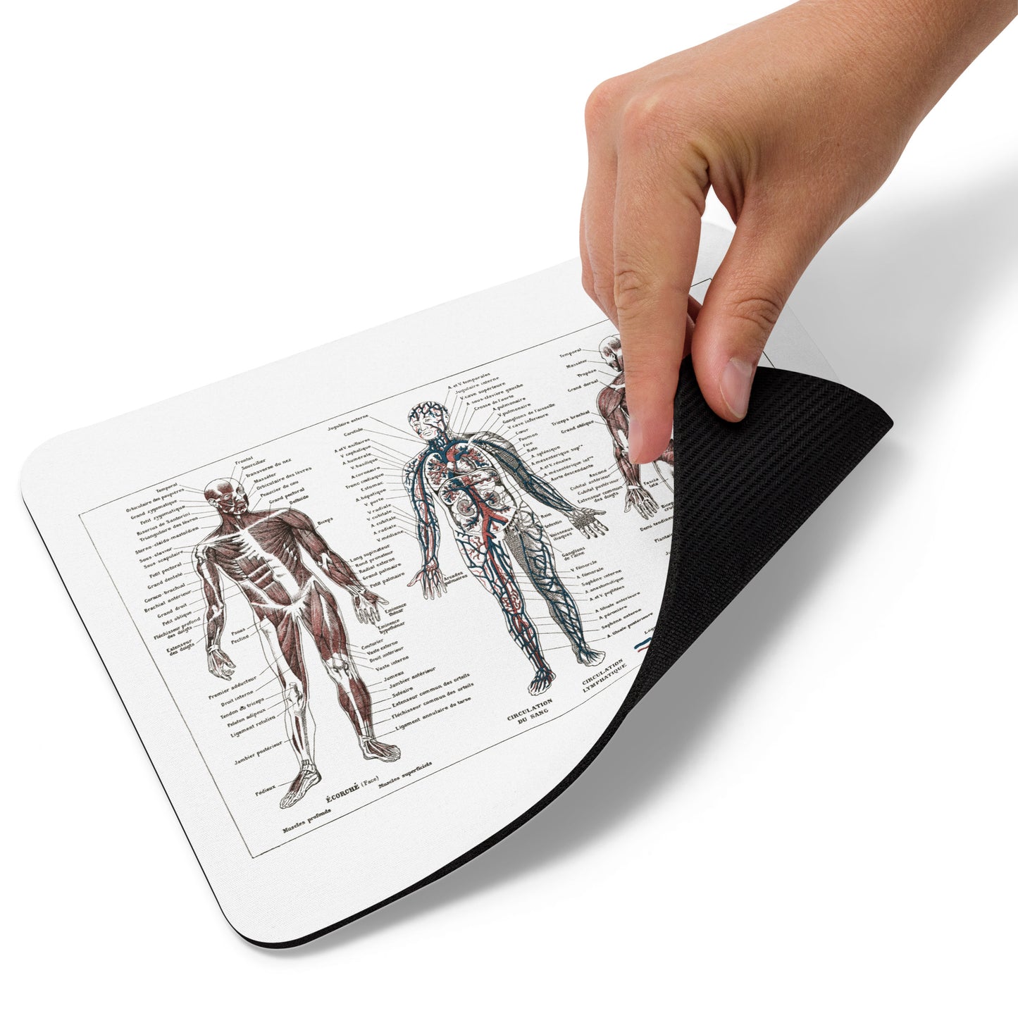 Retro Human anatomy Mouse pad from a 1922 French vintage medical print - Gift for doctor