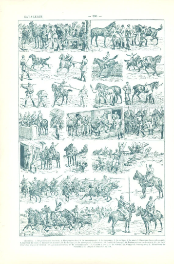 1922 Antique Cavarly Print