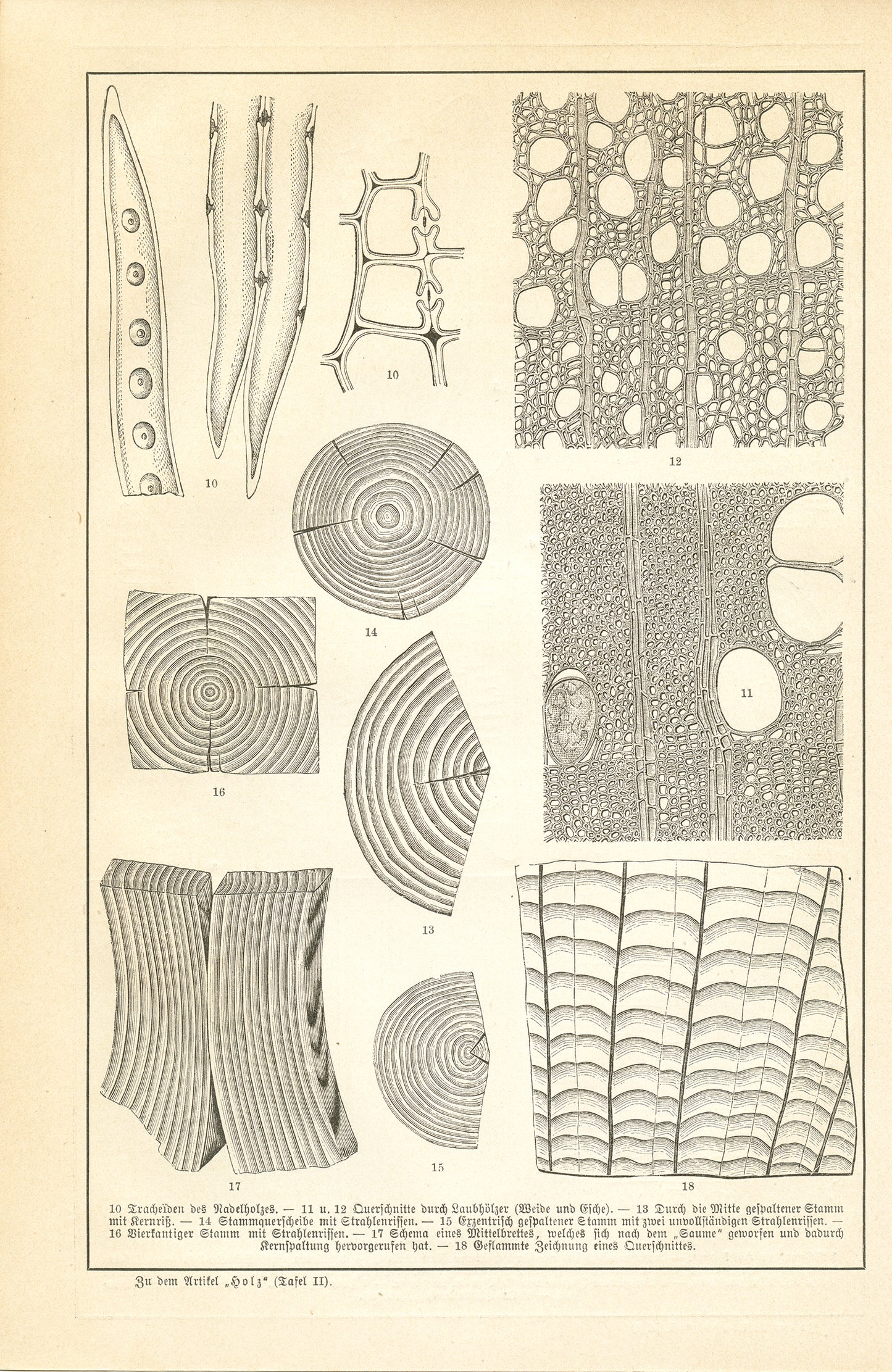 1890 Antique Wood Structure Print in German