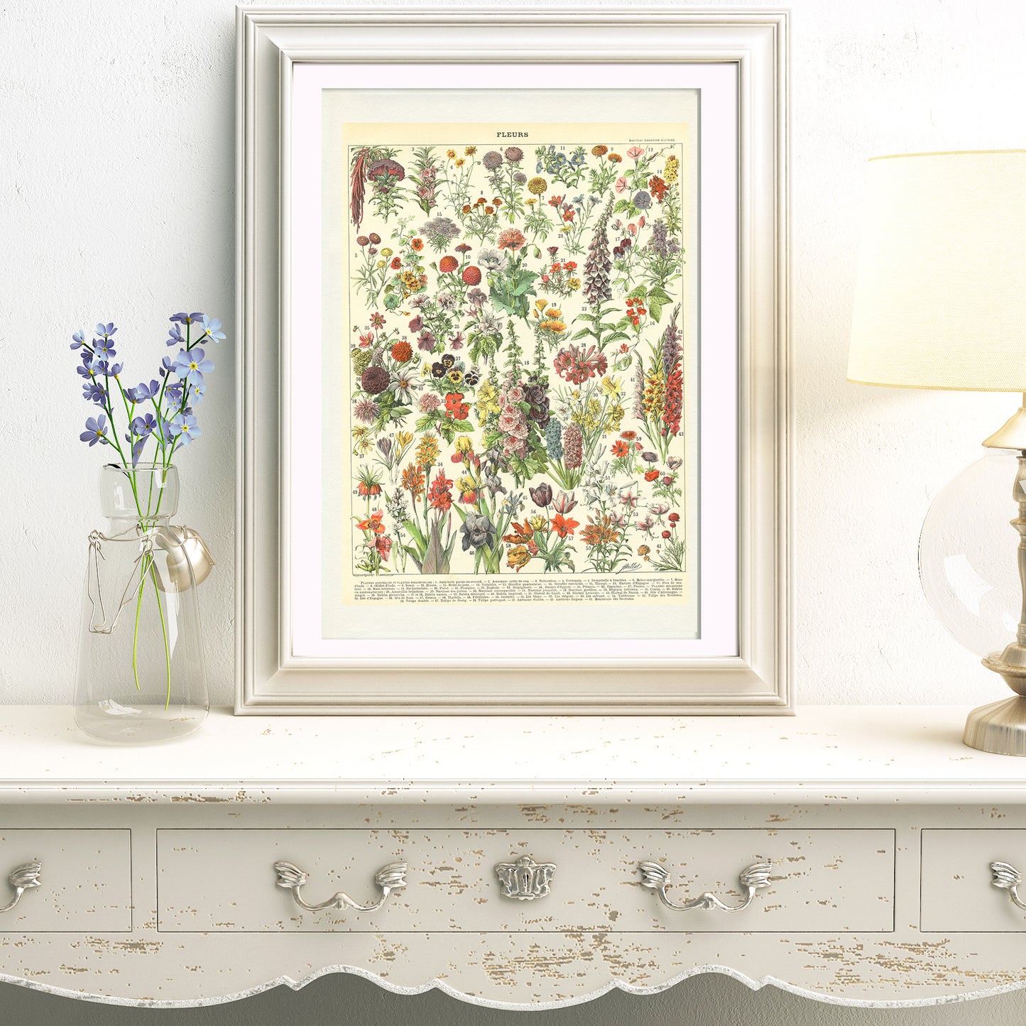 1897 Antique Annual & Perennial Flowers Print