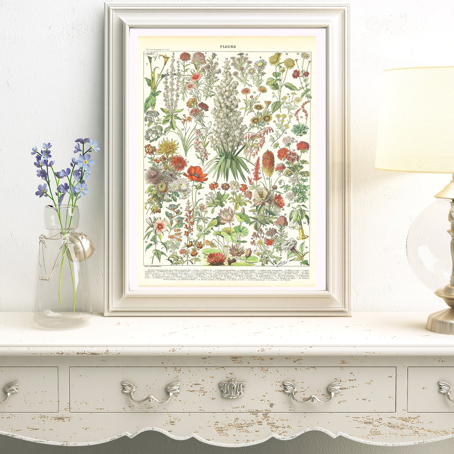 1897 Antique Annual & Perennial Flowers Print