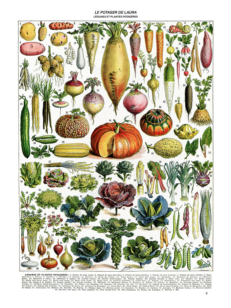 Personalized Vegetables chart poster for kitchen decor by Adolphe Millot