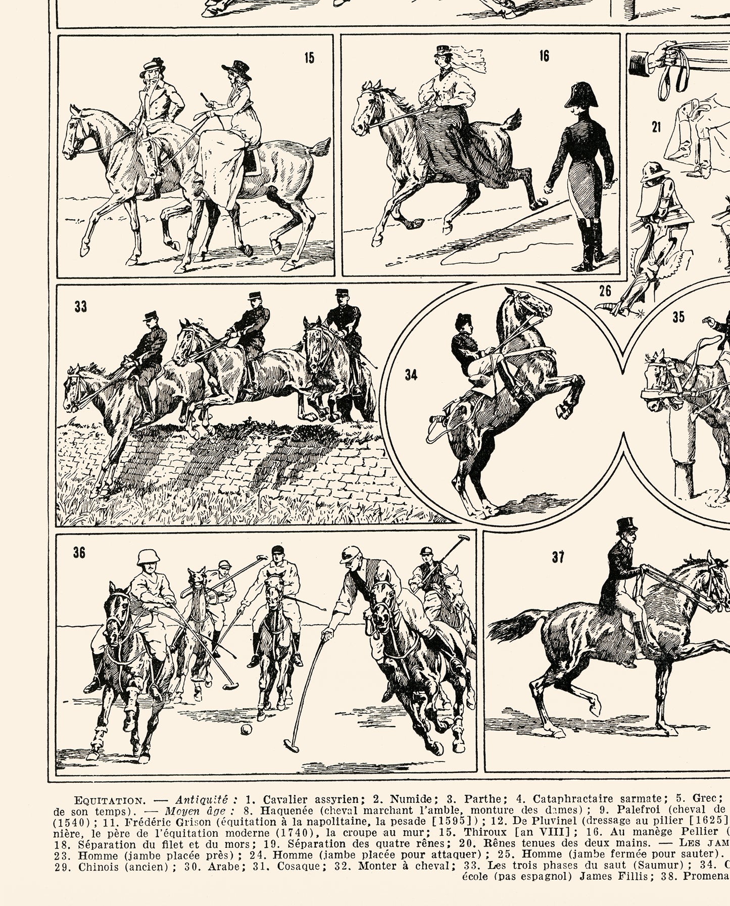 Black and white horse riding poster for vintage equestrian decor