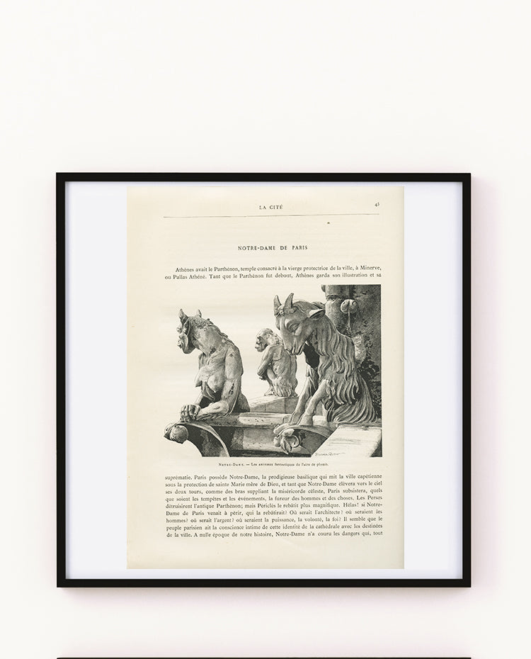 1889 Gargoyles Roof Statues Notre Dame de Paris