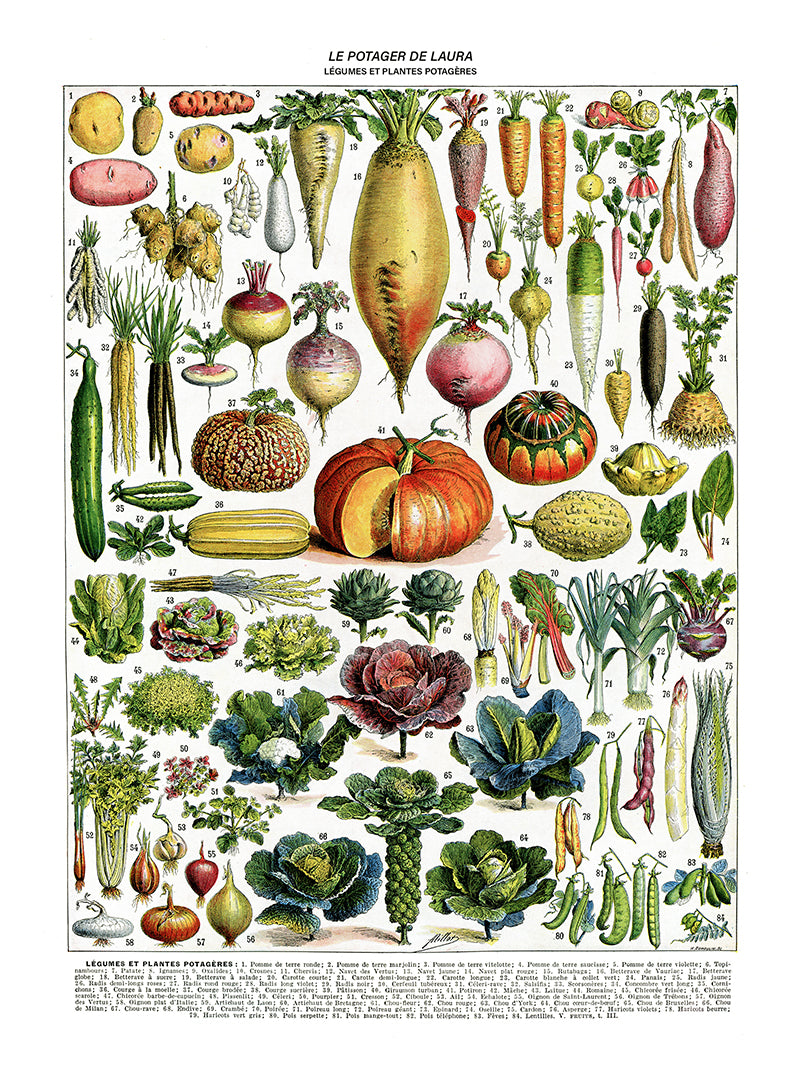 Personalized Vegetables chart poster for kitchen decor by Adolphe Millot