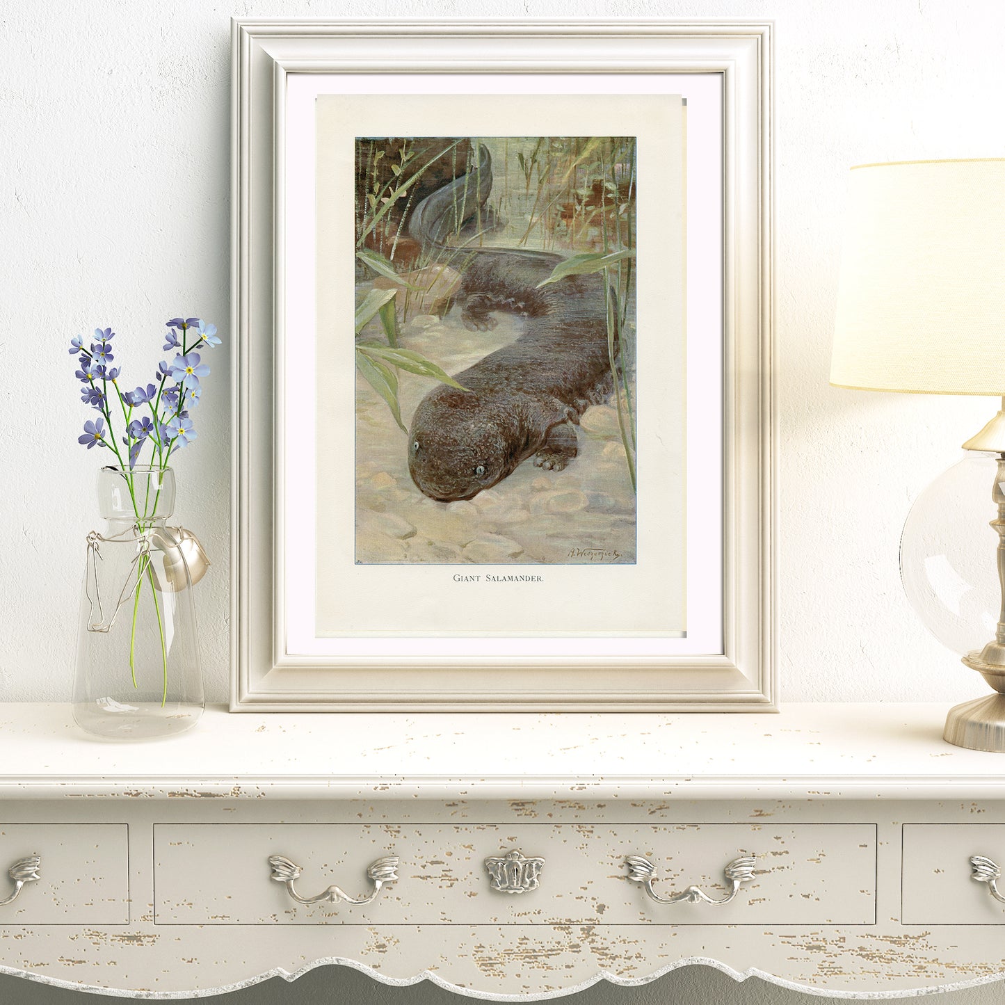 1916 Giant Salamander Print by A. Weczerzick