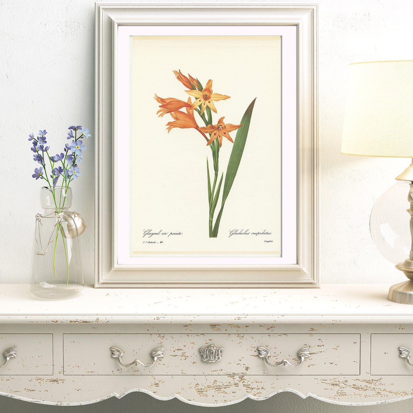 1986 Vintage Redouté Gladiolus Botanical Print