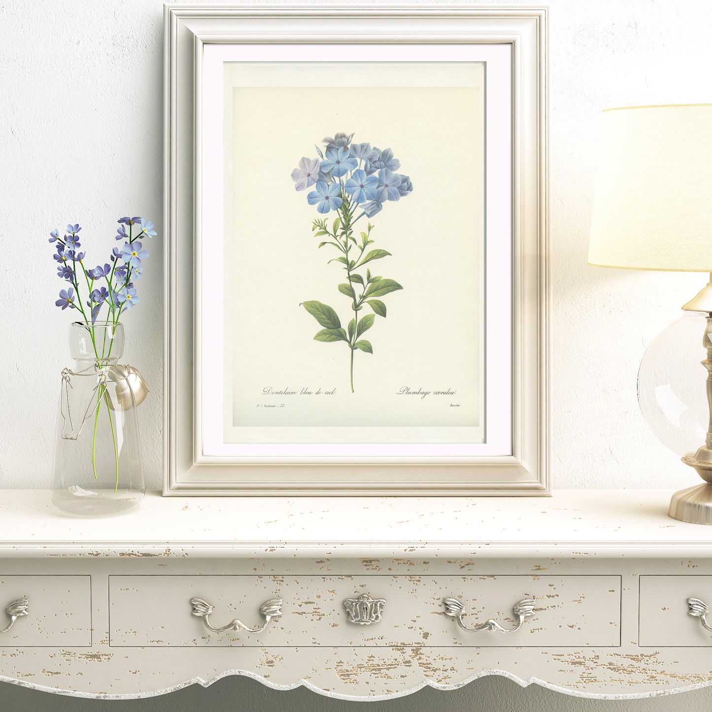 Vintage Redoute Blue Plumbago Botanical Print