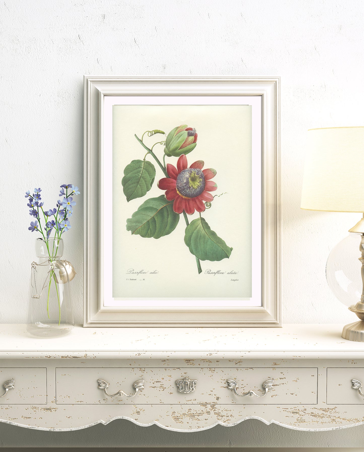 1986 Vintage Passiflora Redouté Botanical Print