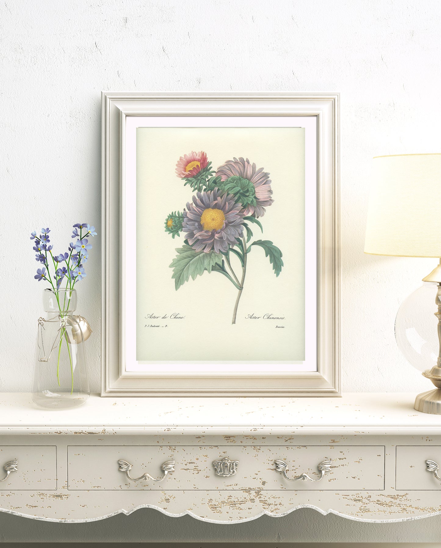 1986 Vintage China Aster Botanical Print by Redouté