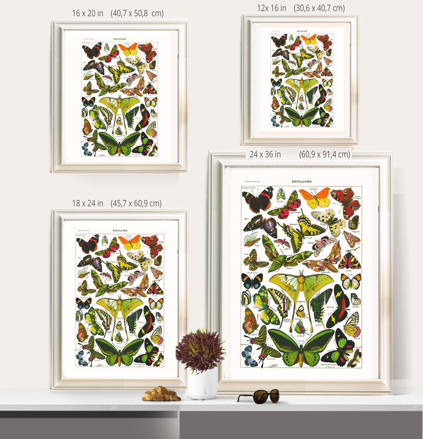 Large Butterflies & moths natural history print by Adolphe Millot