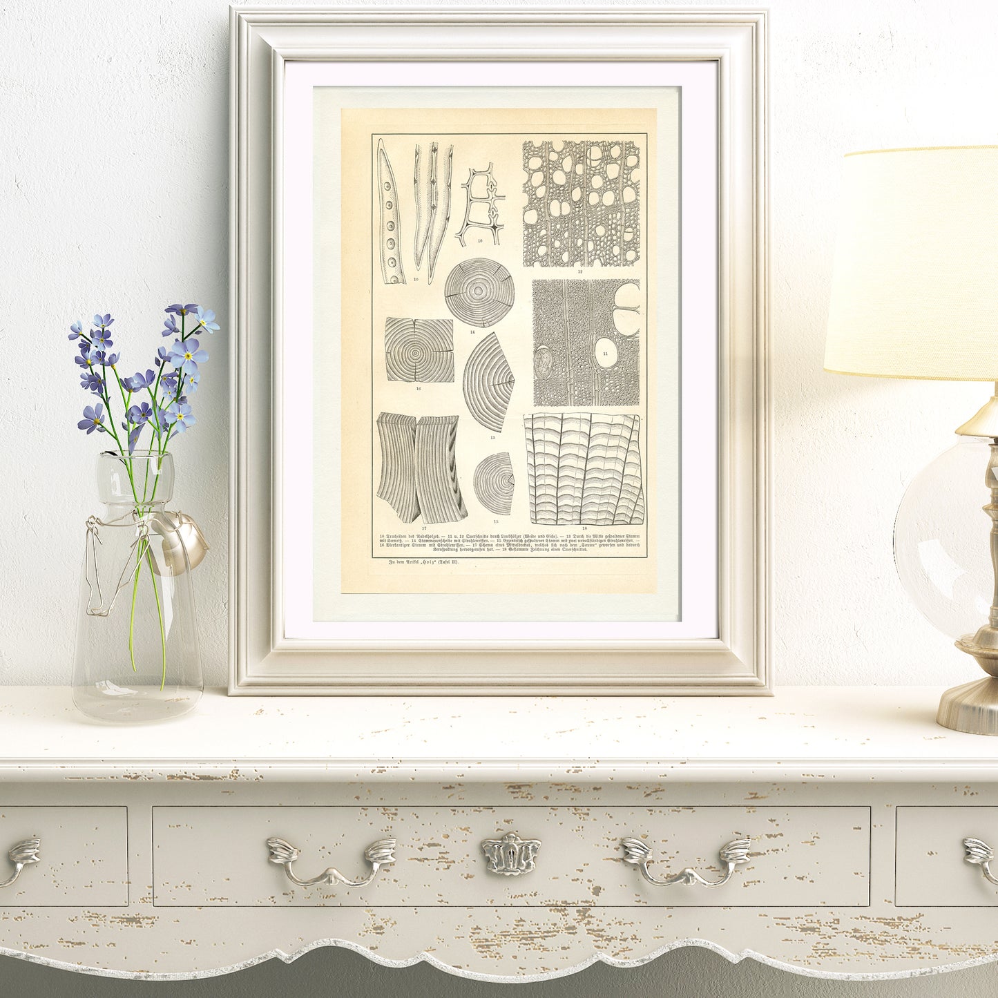 1890 Antique Wood Structure Print in German