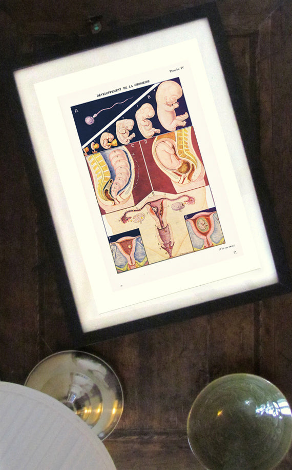 Pregnancy poster for medical doctors, obgyn & midwife gifts.