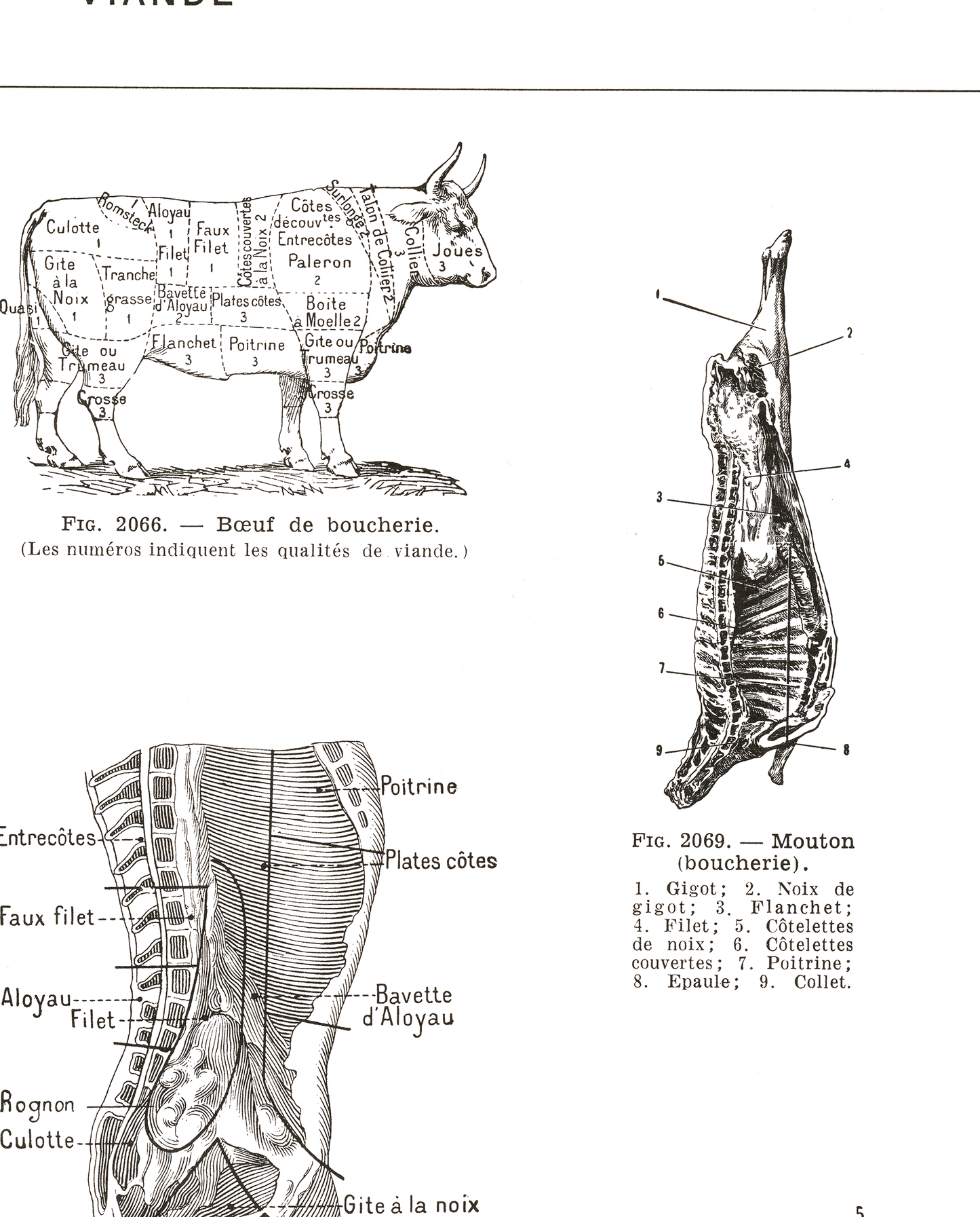 Large square French butcher cuts poster reprint from 1952