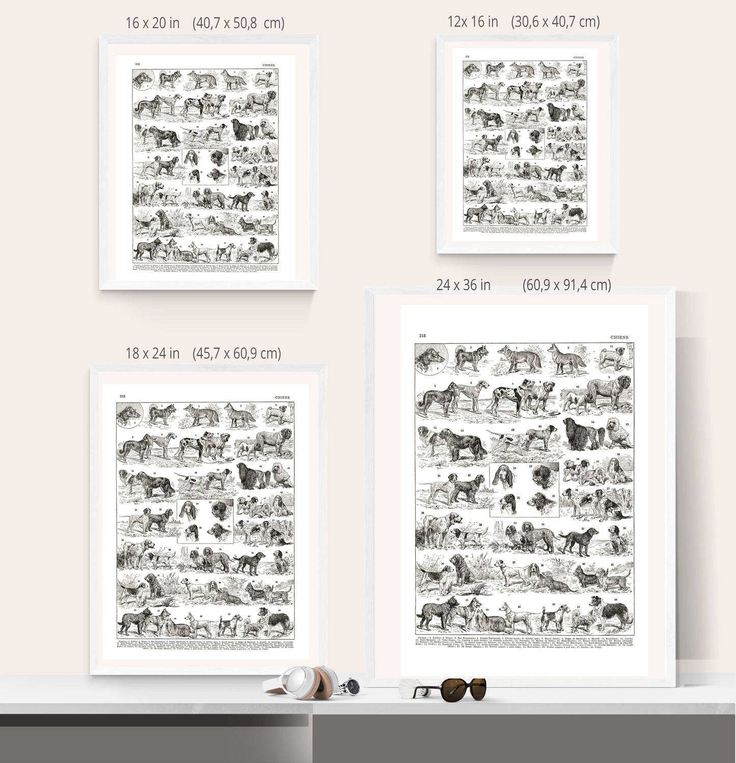 Black and white dog breeds chart
