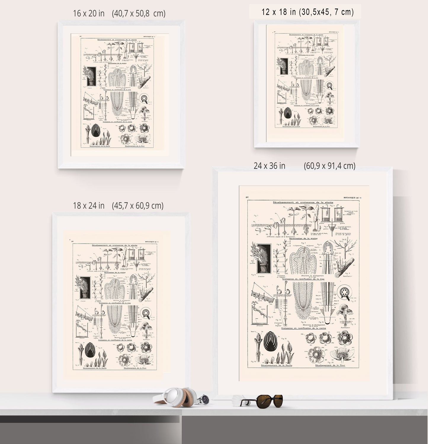 Botanics Poster - Floral Plants' Growth