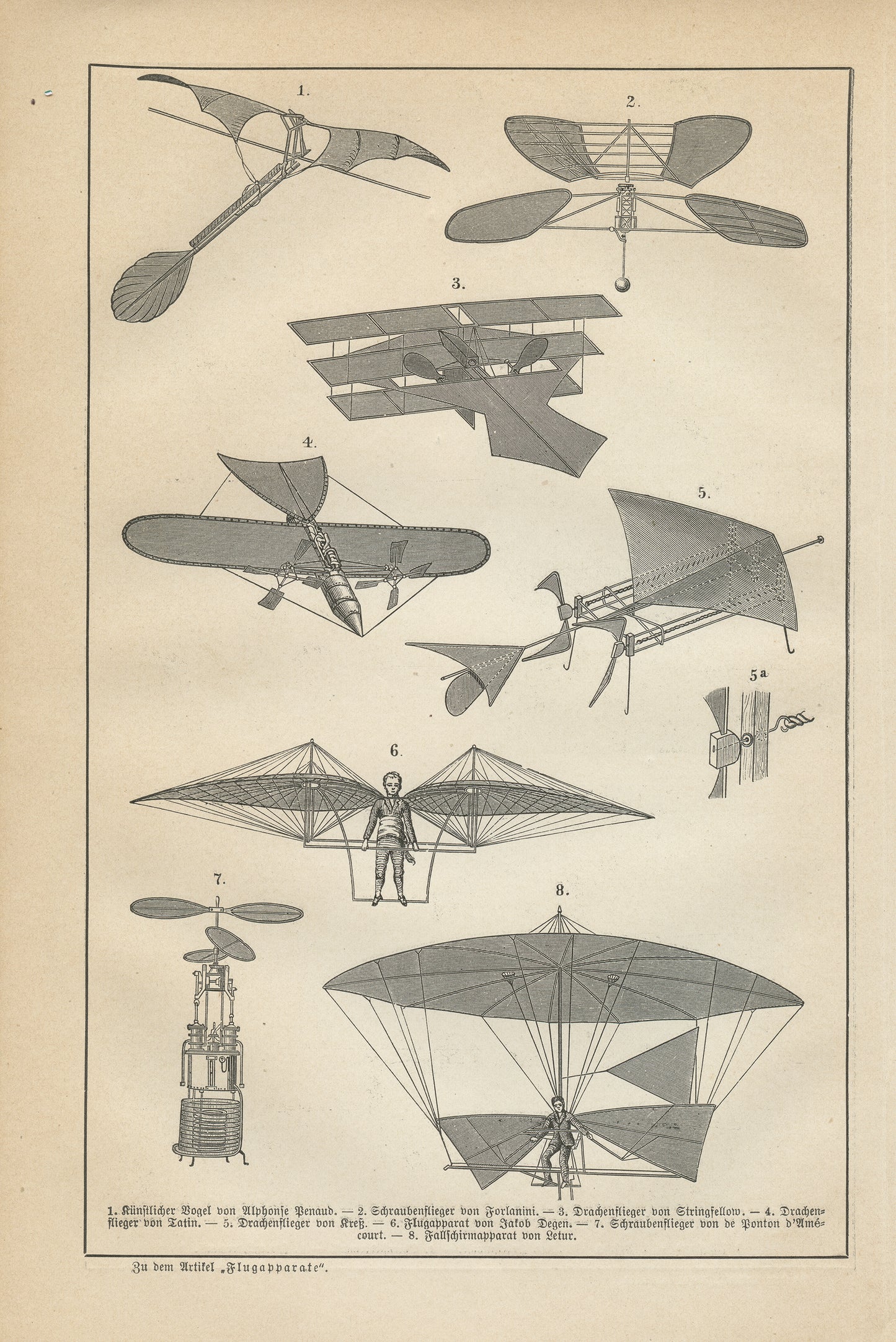 1890 Gravure de Chauve-Souris en Allemand