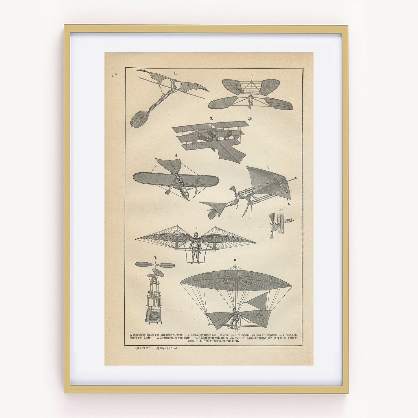 1890 Gravure de Chauve-Souris en Allemand