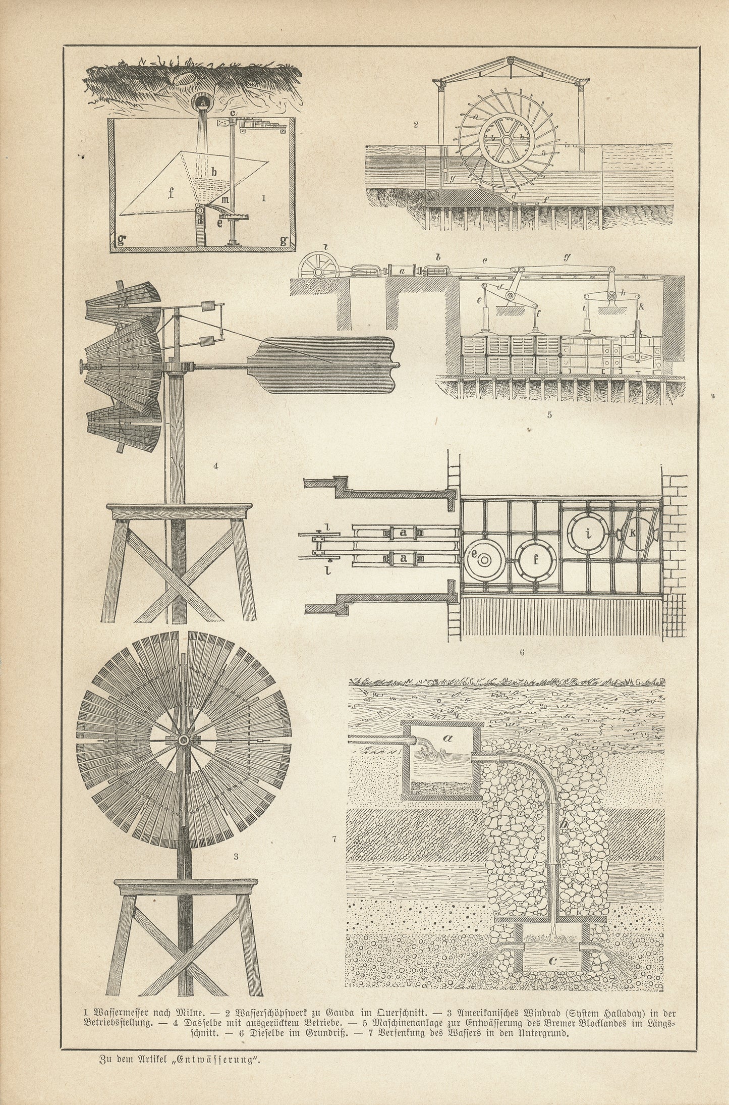 1890 Gravure ancienne de canard