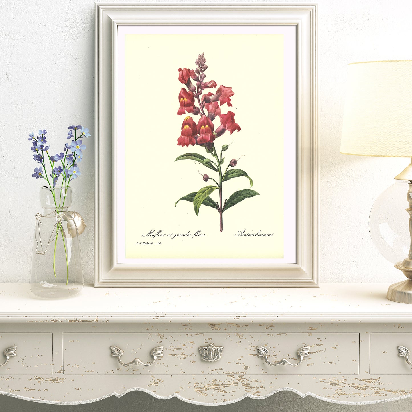1986 Redouté Red Snapdragon Botanical Print