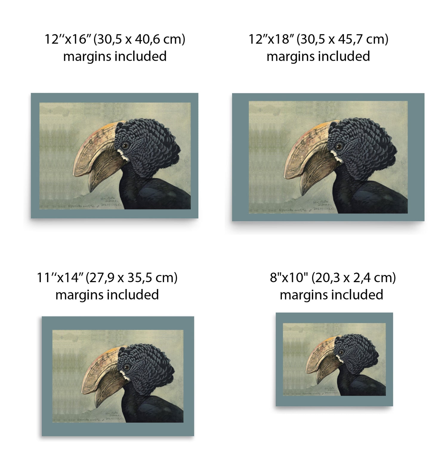 Crested Hornbill Poster by Louis Agassiz Fuertes