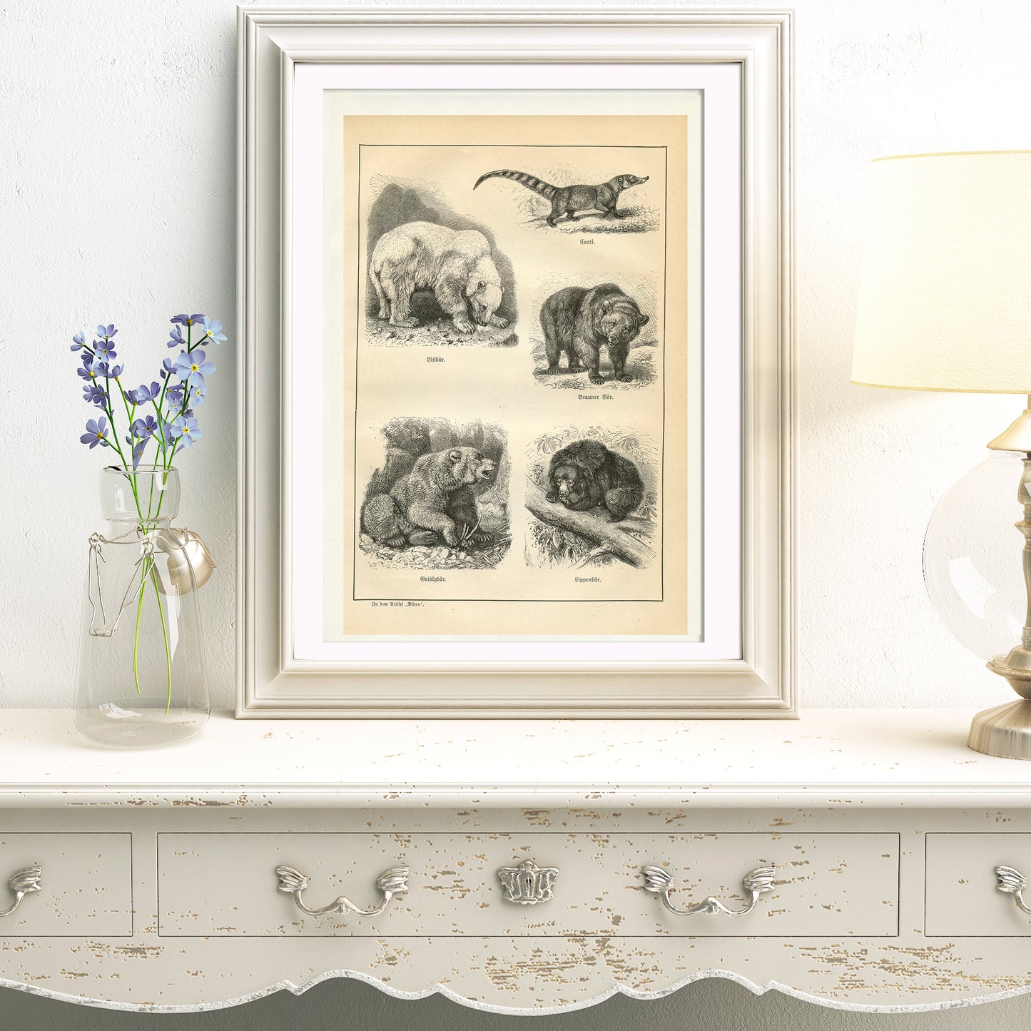 1890 Antique Bears & Marsupials Print
