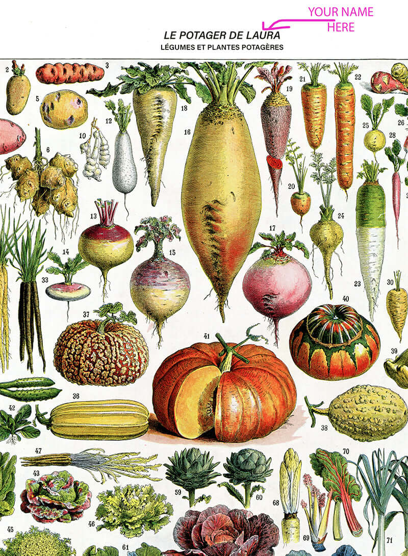 Personalized Vegetables chart poster for kitchen decor by Adolphe Millot