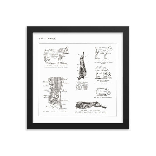 Large framed square French butcher cuts poster reprint from 1952