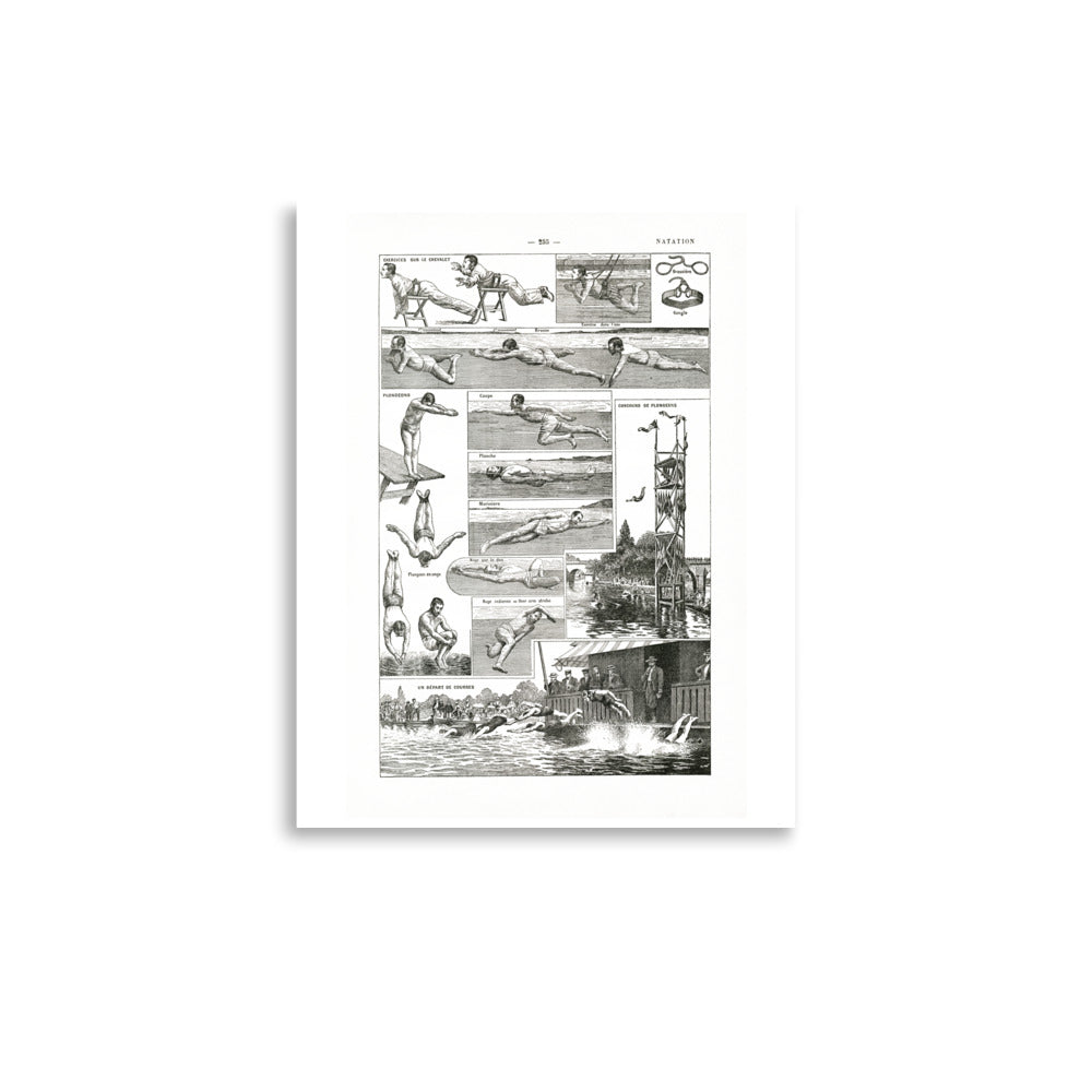 Swimming & diving poster with white background