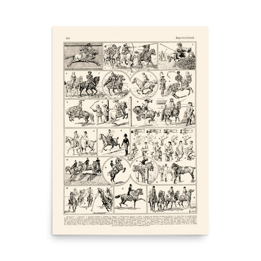 Black and white horse riding poster for vintage equestrian decor