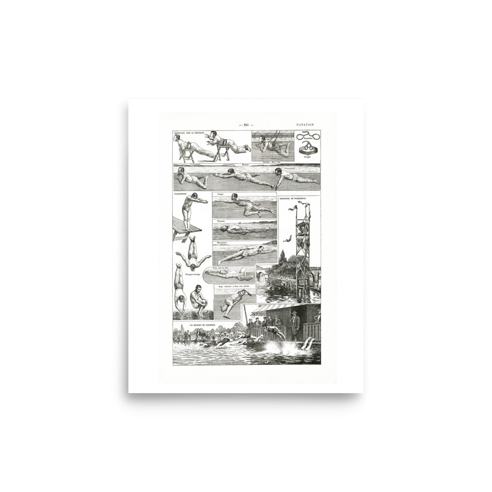 Swimming & diving poster with white background