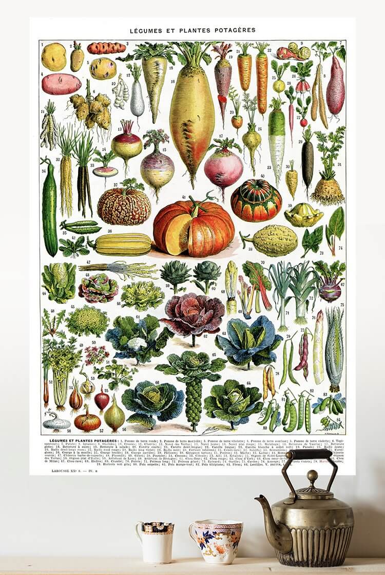 24x36" Vegetable Art print, Extra large kitchen decor