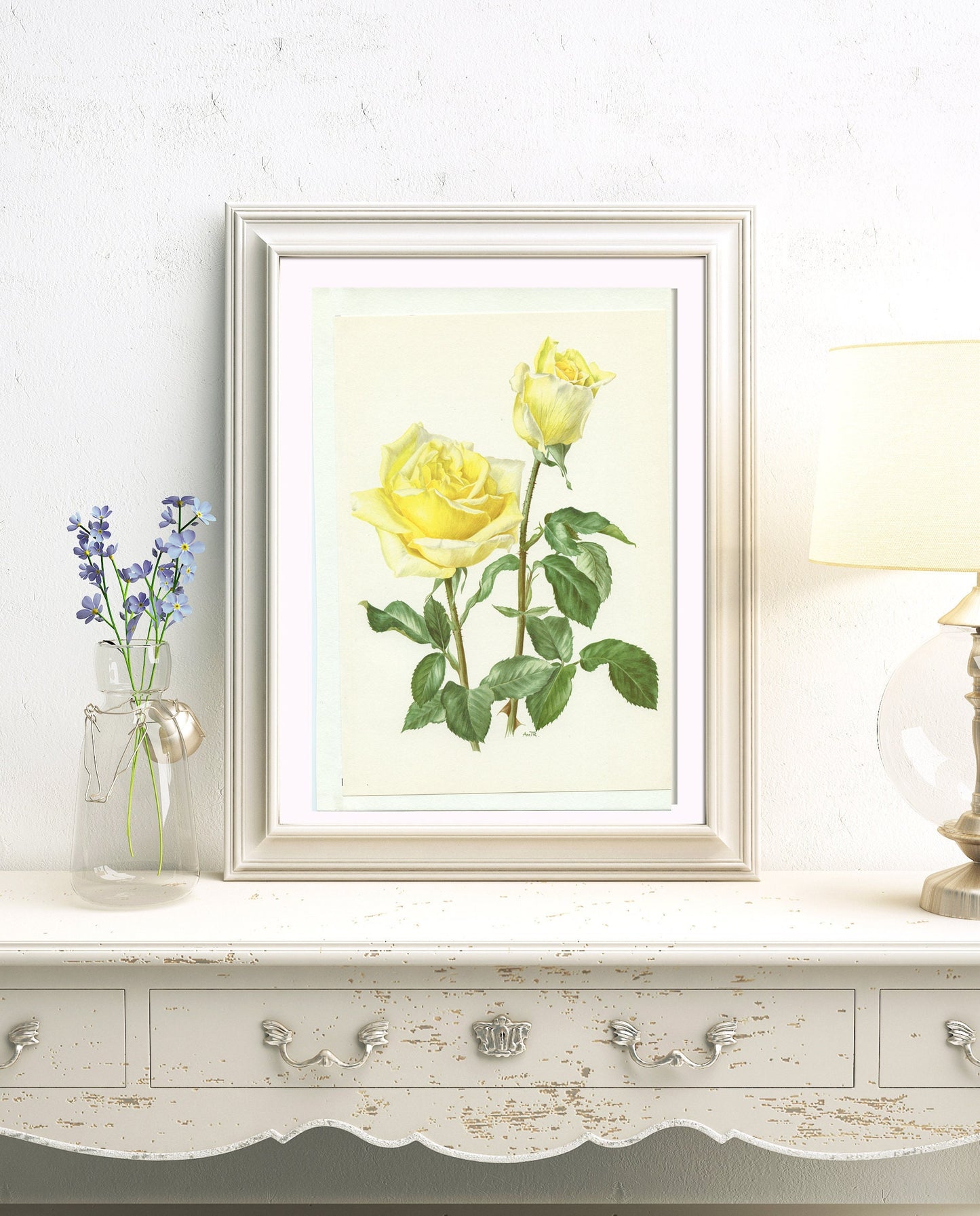 Pastel yellow Claudius rose poster from 1967. Vintage Botanical art French country decor. Antique Roses art Gardener gift. Floral wall decor