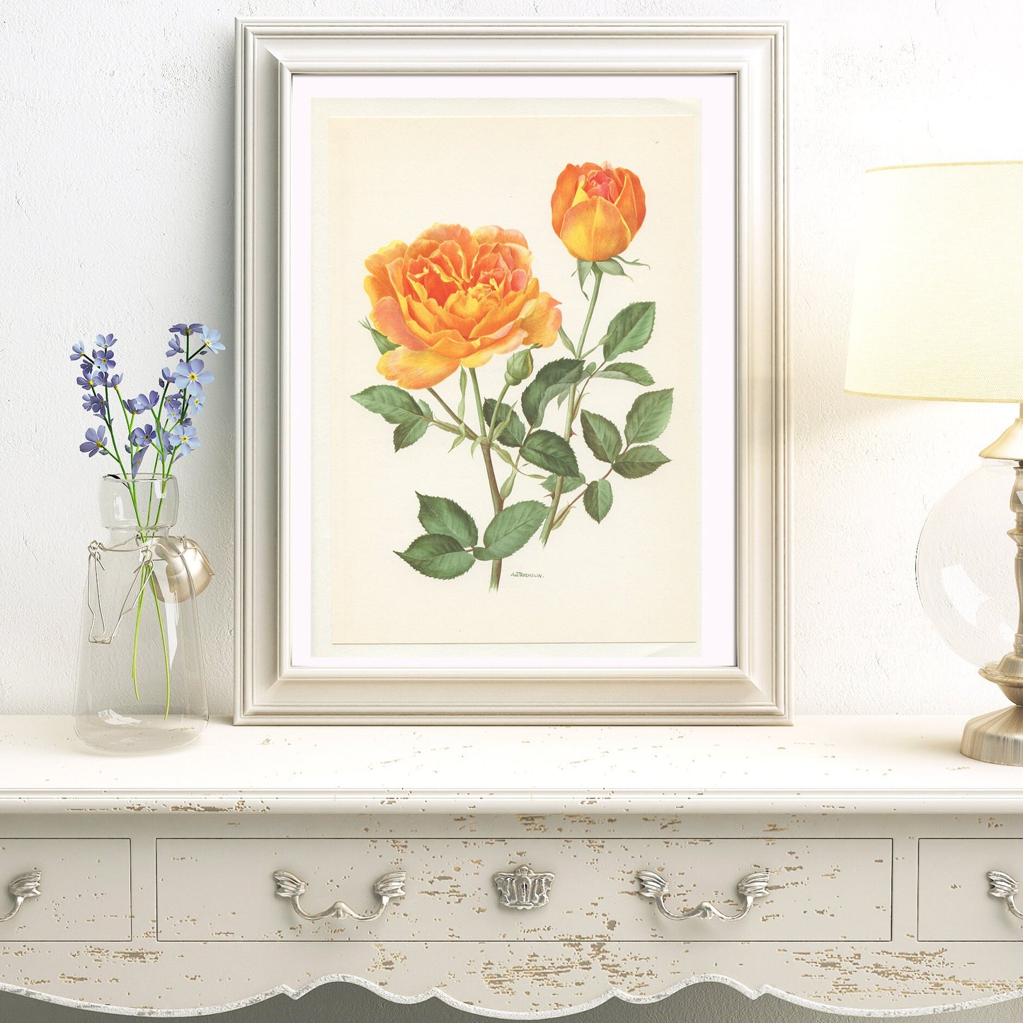 1967 Amitié rose print. Vintage Botanical art French country decor. Orange Antique botanical art. Friendship roses gift for gardener mom