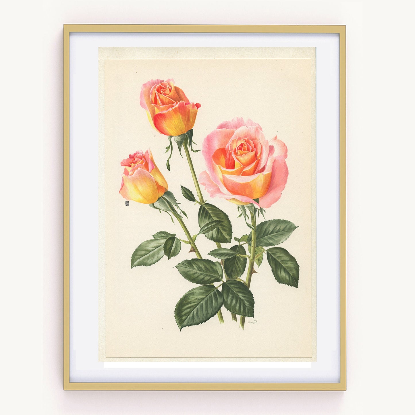 1967 Silva rose flower. Small vintage botanical prints. Coral Pink French country decor floral wall art. Plant teacher gardener gift.