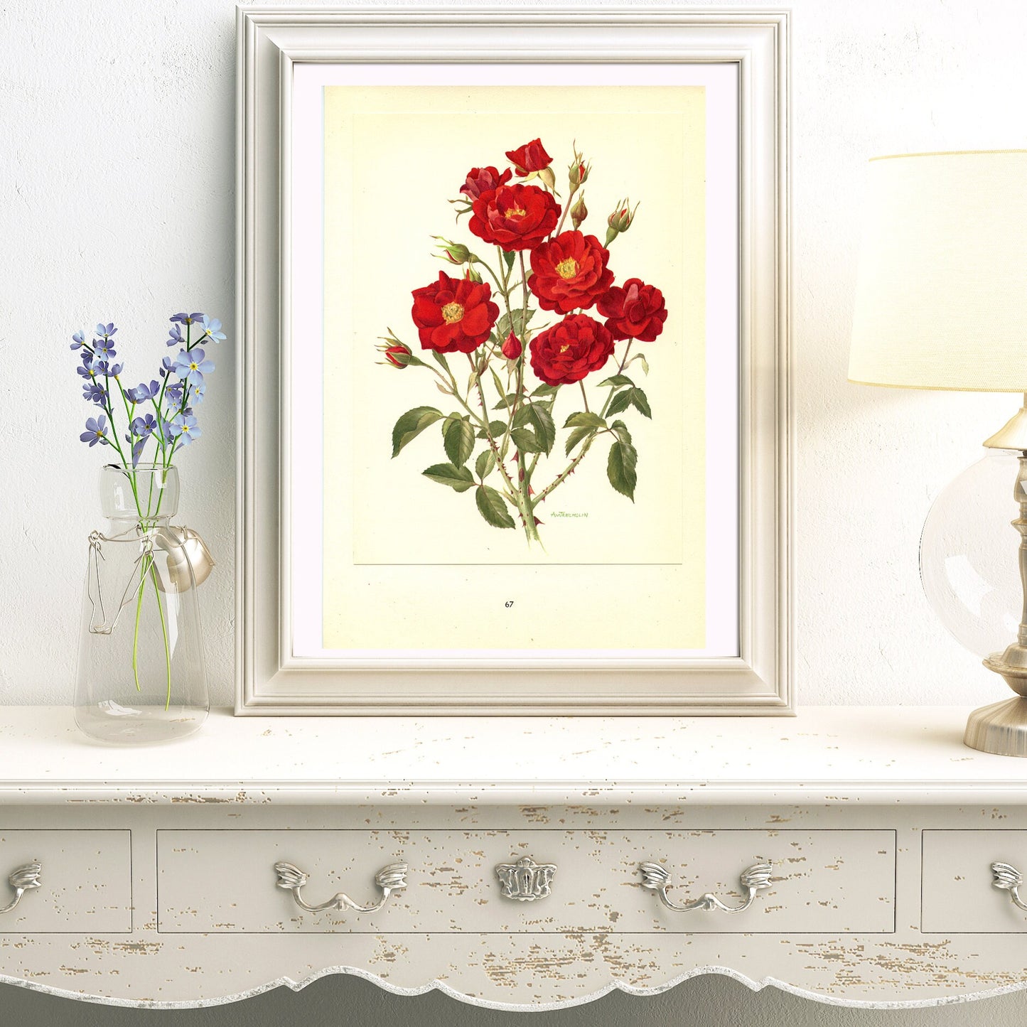 Moulin Rouge 1962 Antique rose print. Red botanical rose print. Vintage red rose art print. Romantic gift. French roses print. Deep red