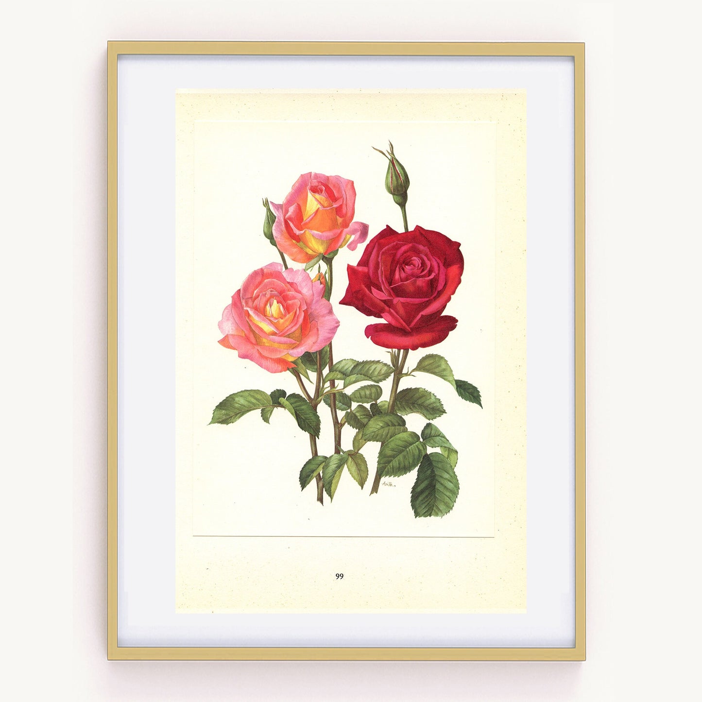 1962 Chrysler Imperial + Love Song Roses art. Vintage Botanical art. Floral print. French country decor. Botanical poster. Romantic decor